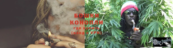 ПСИЛОЦИБИНОВЫЕ ГРИБЫ Баксан