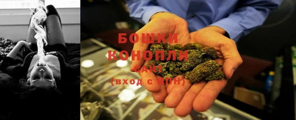 ПСИЛОЦИБИНОВЫЕ ГРИБЫ Баксан