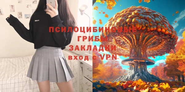 ПСИЛОЦИБИНОВЫЕ ГРИБЫ Баксан