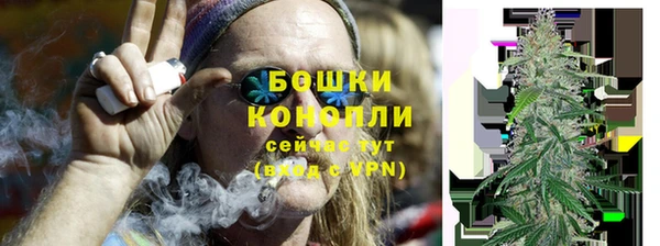 ПСИЛОЦИБИНОВЫЕ ГРИБЫ Баксан