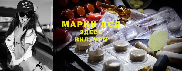 ПСИЛОЦИБИНОВЫЕ ГРИБЫ Баксан