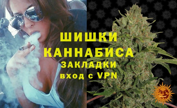 ПСИЛОЦИБИНОВЫЕ ГРИБЫ Баксан