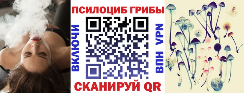 Псилоцибиновые грибы Psilocybine cubensis Балтийск