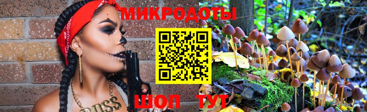 Балтийск  Псилоцибиновые грибы Magic Shrooms  Вход с VPN 
