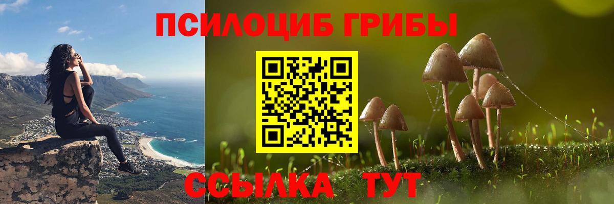 Галлюциногенные грибы мухоморы Балтийск
