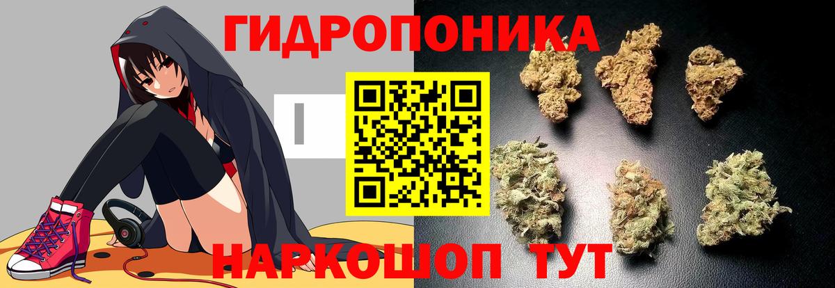 Конопля Ganja  Вход с VPN  Балтийск  Канабис гибрид  МАРИХУАНА семена 
